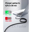 INIU Leopard 100W Magnetic USB-C Cable (4')