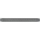 Obsidian NETRON Net Plate (1 RU)