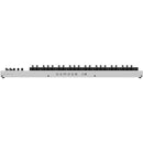 EXPRESSIVE E Osmose CE 49 Advanced MPE MIDI Controller (49-Key)