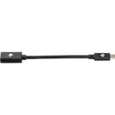 Pearstone USB-C 3.2 Gen 2 Male to USB-A Female Adapter (6")