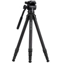 Cayer CH20S1 Carbon Fiber Tripod with Fluid Head (Black)