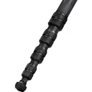 Cayer CH30B1 Carbon Fiber Tripod (Black)