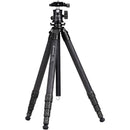 Cayer CH35B1 Carbon Fiber Tripod (Black)