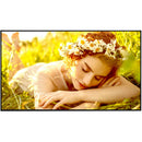 LG UL5Q-M 75" UHD 4K Commercial Monitor