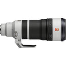 Sony FE 100-400mm f/4.5 GM OSS Lens (Sony E)