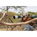 Sony FE 100-400mm f/4.5 GM OSS Lens (Sony E)