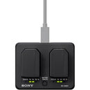 Sony BC-SAD1 Battery Charger