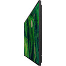 Sony Pro BRAVIA BZ35P 55" 4K Commercial Monitor