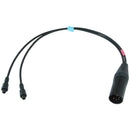 Radius Mini-ALTO M/S Stereo 5-Pin XLR Male to Two Lemo FVN Connector Cable (10.8")