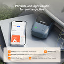 NIIMBOT B1 2" Portable Thermal Label Printer (Lake Blue)