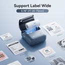 NIIMBOT B31 3" Portable Thermal Label Printer (Lake Blue)