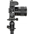 3 Legged Thing Zayne QD-Compatible L-Bracket for Nikon Z50 II Camera (Black)