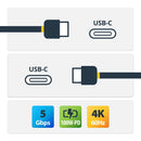 StarTech USB-C Male to USB-C Male Cable (6.6'')
