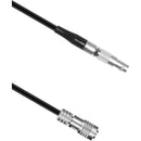 PORTKEYS DSMC2 EXT Control Cable (3.3')