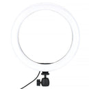 JJC ZB7 LED Ring Light Kit (10")