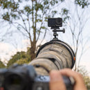 SmallRig Quick Release Adapter with Cold Shoe Mount and Mini Ball Head