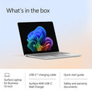 Microsoft 13" Surface Laptop for Business Copilot+ PC (1st Edition, Platinum)