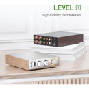 FiiO Level 1 2.1-Channel Compact Power Amplifier with Bluetooth 6.0 (Black with Walnut Sides)