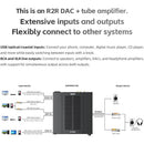 FiiO Warmer R2R Desktop DAC and Tube Amp (Silver)