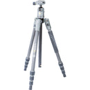 Vanguard VEO 2S 204CB Carbon Fiber Travel Tripod with BH-45 Ball Head Kit
