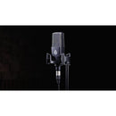 BeesNeez BC12A FET Condenser Microphone