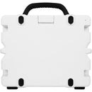 Turtlebox Grande Portable Wireless Speaker (White)