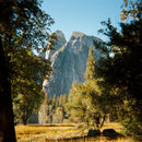 Long Weekend 35mm Camera (Cream)