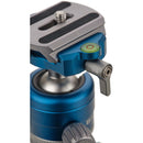 Benro H26PT Ball Head with Arca-Type Quick Release