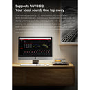 FiiO K17 R2R Desktop DAC and Headphone Amplifier (Silver)