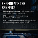 PNY 16GB DDR5 5600 MHz UDIMM Desktop Memory Module