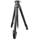 COMAN M1S Monopod with Detachable Clamp & Base Modules