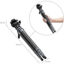 SmallRig Ultra-Light Travel Video Carbon Fiber Tripod with Fluid Head
