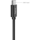 SmallRig USB-C to Panasonic DMW-BLK22 Dummy Battery Power Cable