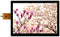 MULTICOMP PRO MP013338 TFT LCD, 15 ", 1024 x 768 Pixels, XGA, Landscape, RGB, 12V