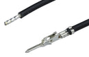 MOLEX 367693-066 Cable Assembly, 20 AWG, Micro-Fit Plus Crimp Terminal Pin to Free End, 11.8 ", 300 mm