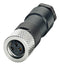 PHOENIX CONTACT 1681185 Sensor Connector, IP67, M8, Male, 4 Positions, Solder Pin, Straight Cable Mount GTIN UPC EAN: 4017918157531 SACC-M 8FS-4CON-M
