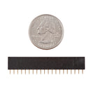 Straight Header - Female (PTH, 0.1in., 20-Pin)