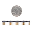 Straight Header - Male, Gold Plating (PTH, 0.1in., 24-Pin)