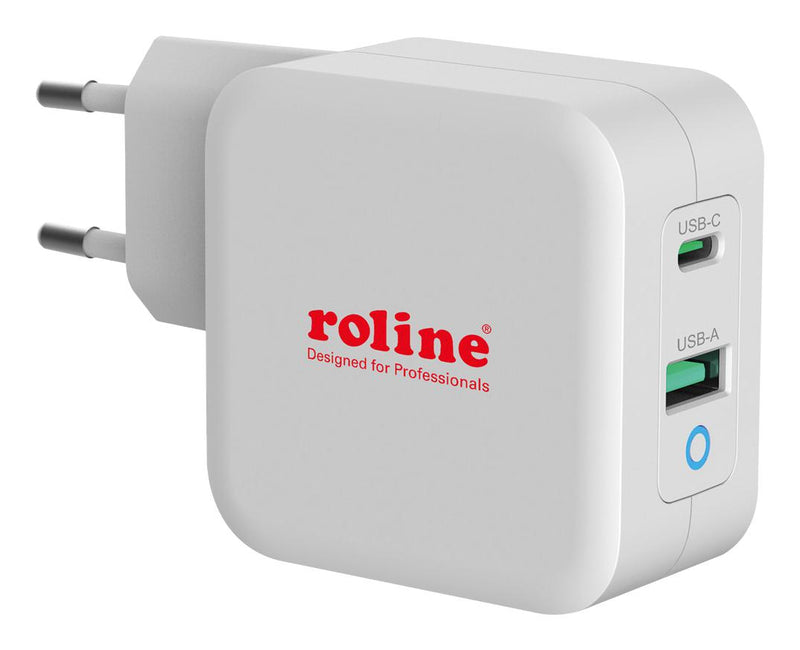 ROLINE 19.11.1041 AC/DC Power Supply, 2 Output, 65 W, 20 V, 3.25 A, 15 V