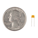 Capacitor Ceramic - 1000pF 100V ±5%