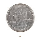 Capacitor Ceramic - 0.1μF 25V -20% ~ +80%
