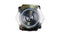 MULTICOMP PRO MP-210MG-BUA Vandal Resistant Switch, 19.2 mm, DPST, On-Off, Round, Natural
