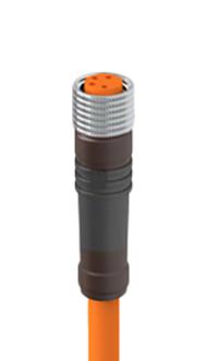 LUMBERG AUTOMATION RKMV 4-1006/3 M Sensor Cable, A Coded, Unshielded, M8 Receptacle, Free End, 4 Positions, 3 m, 9.8 ft, RKMV Series