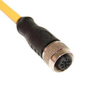 Mueller Electric C3C04M002 C3C04M002 M12 Cordset 3-POSITION Female Straight TO Open END 22 AWG 2M 68AK2066 New