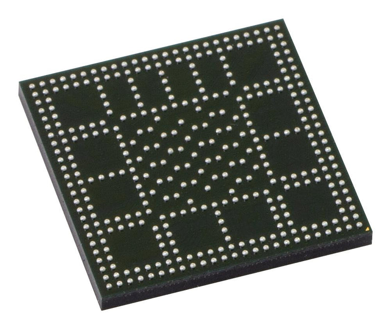 RENESAS R9A08G045S31GBG