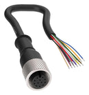 BANNER ENGINEERING BC-M12F12-24-2. CBL ASSY, 12P M12 RECPT-FREE END, 6.56