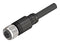 ALTECH CBF12-S44N0-10BPVC CBL ASSY, 4P M12 RCPT-FREE END, 32.8