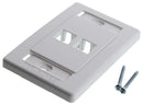 BELDEN AX101433 INTERFACE PLATE, PLASTIC, 2 MOD, WHITE
