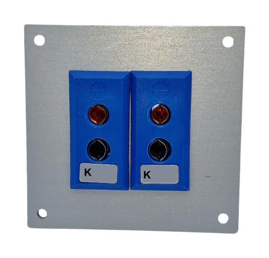 LABFACILITY JS-K-FF + FSP-2 Thermocouple Connector, 66 x 69mm Panel, Standard, K, Socket, 2Way, Blue, JIS, Fascia Mount