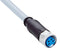 SICK YF8U14-020VA3XLEAX Sensor Cable, A Coded, Grey, M8 Receptacle, Free End, 4 Positions, 2 m, 6.6 ft